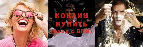 прущий лед Алзамай
