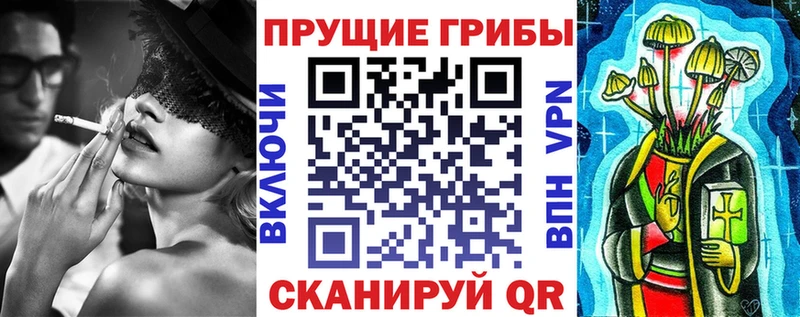 цены   ОМГ ОМГ зеркало  Галлюциногенные грибы MAGIC MUSHROOMS  Задонск 